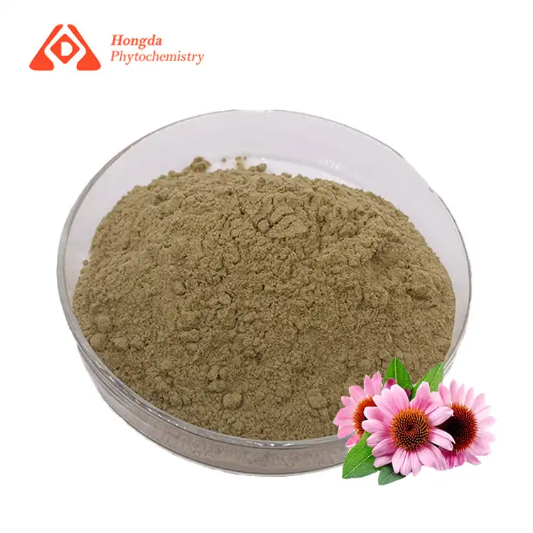 Echinacea Extract Powder